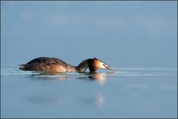 La formule I du lac en chasse amoureuse